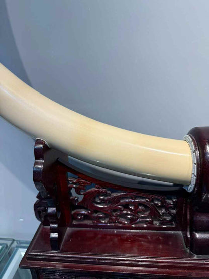 Pair of top-grade mammoth ivory ice material