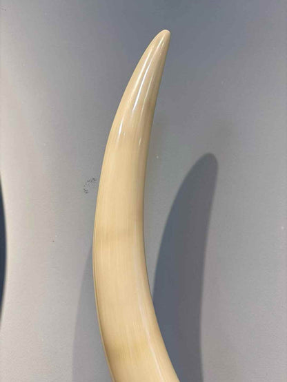 Pair of top-grade mammoth ivory ice material