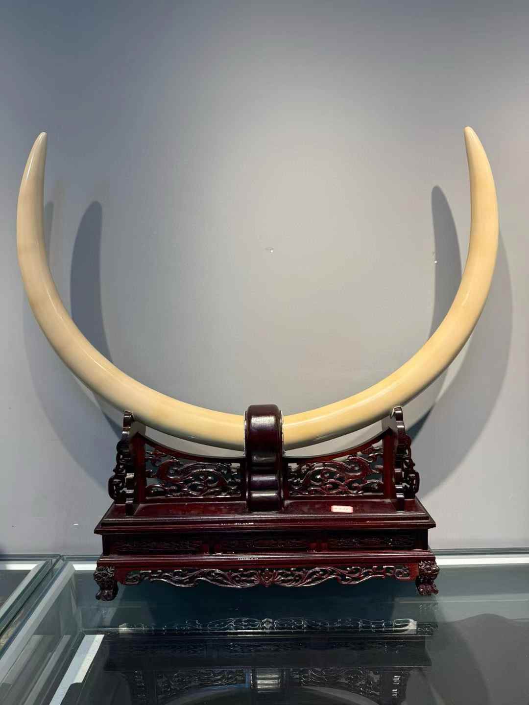 Pair of top-grade mammoth ivory ice material